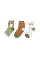 Calcetines  Multicolor Niño Pillin (PAD124-26SUR)