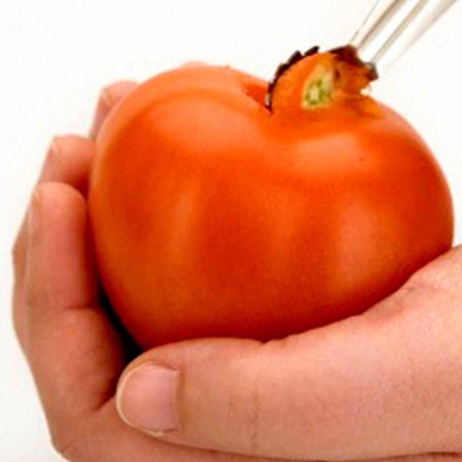 Descorazonador Tomate 12 Pcs-2