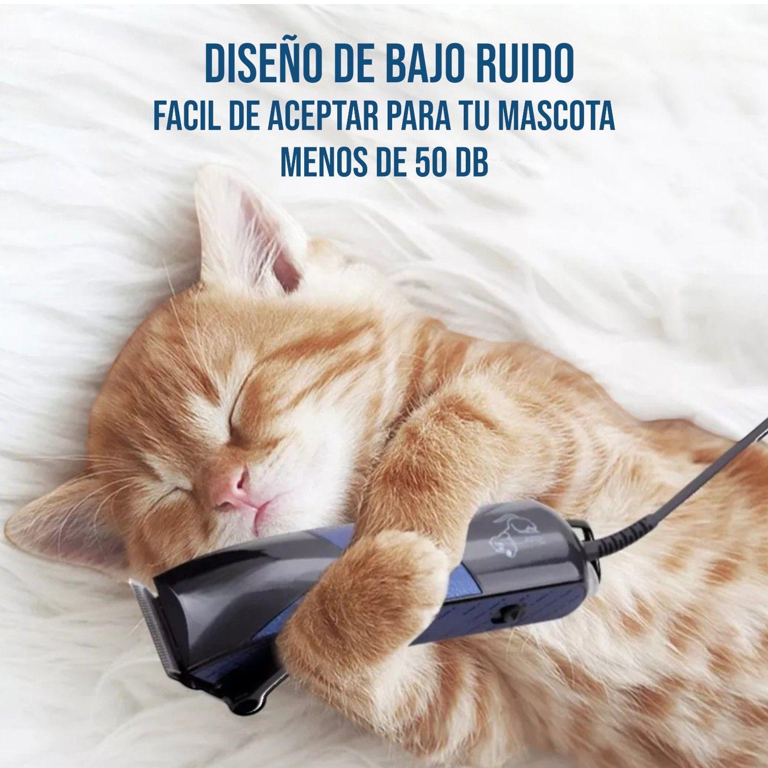 Maquina de Corte Pelo perros mascotas gatos animales IRM SK-711-6