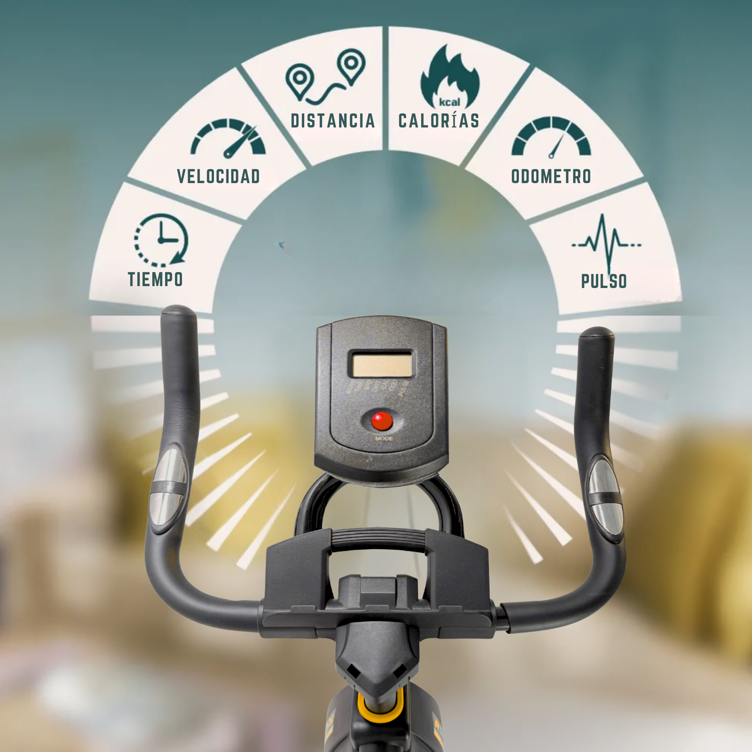 Bicicleta Spinning Anti shock Pro 14 KG Disco 1016-4-7