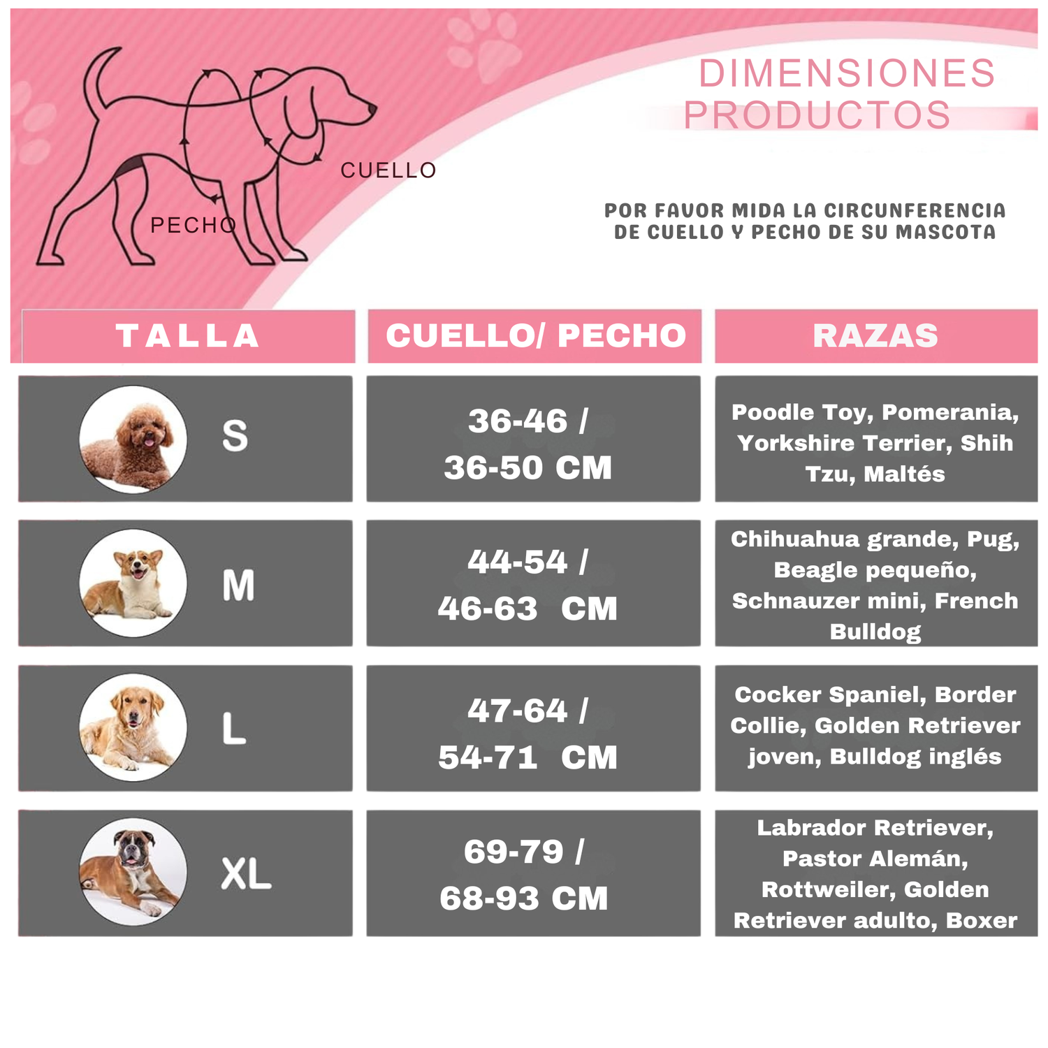 Set Arnes Correa Collar porta gps + Regalo-2
