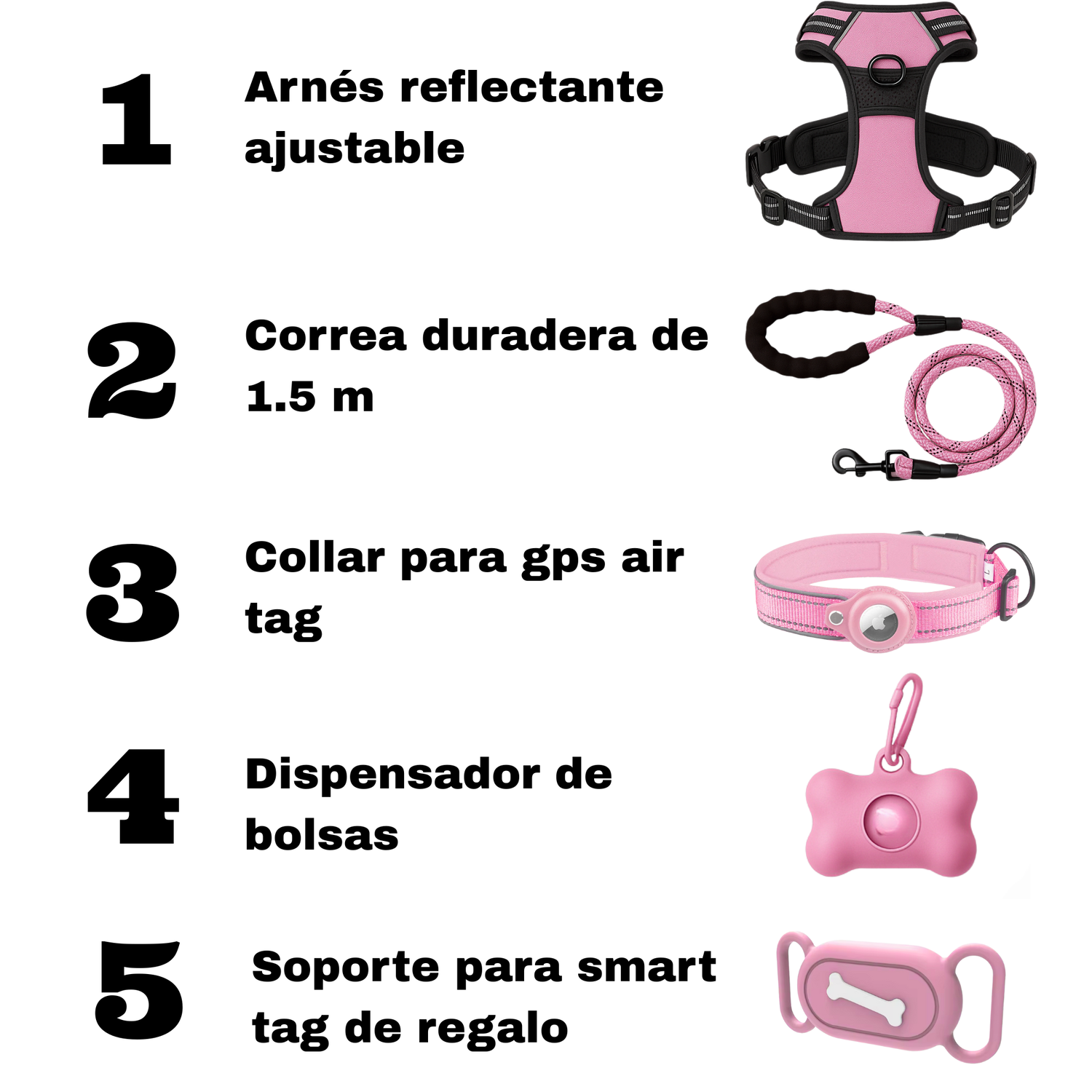 Set Arnes Correa Collar porta gps + Regalo-4