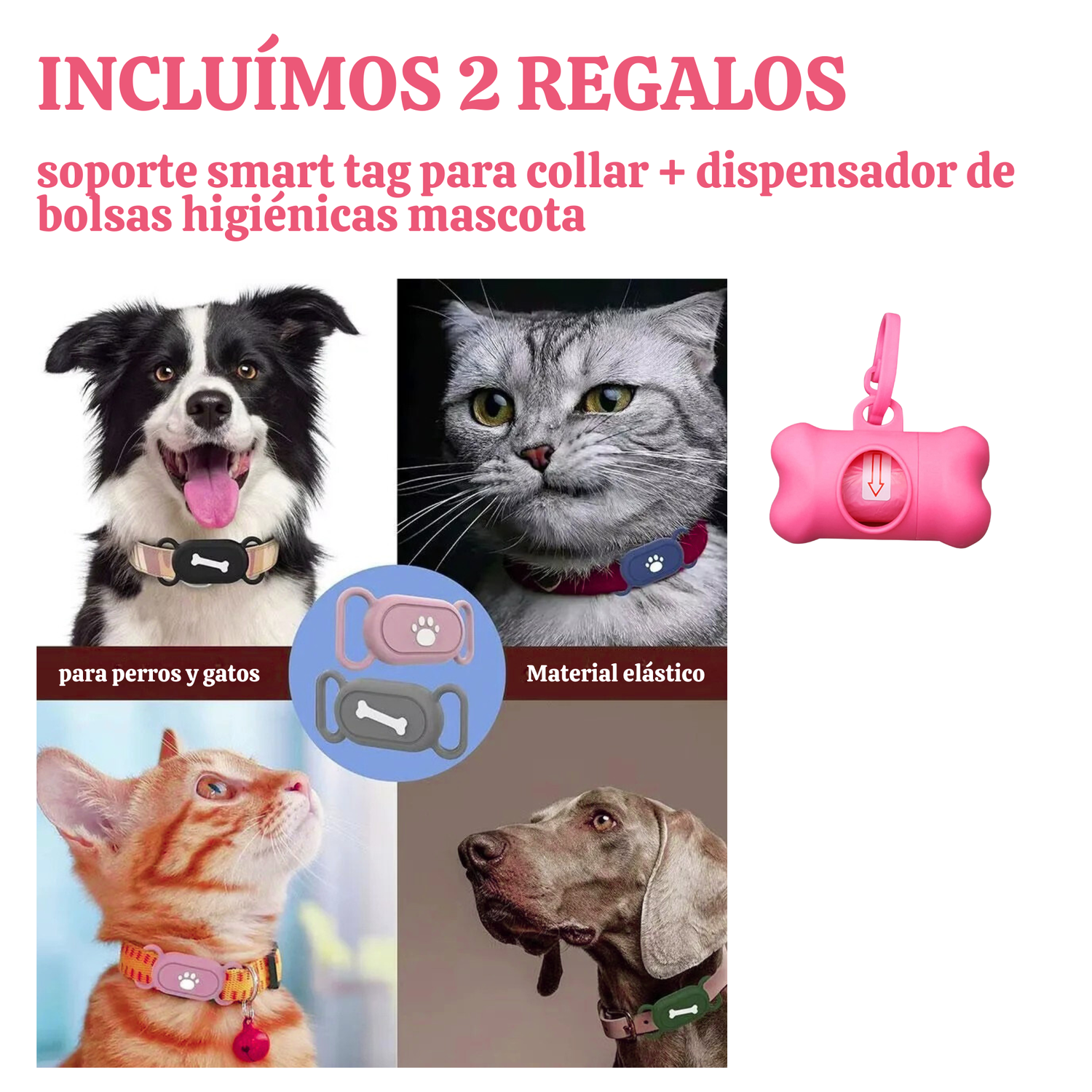 Set Arnes Correa Collar porta gps + Regalo-9