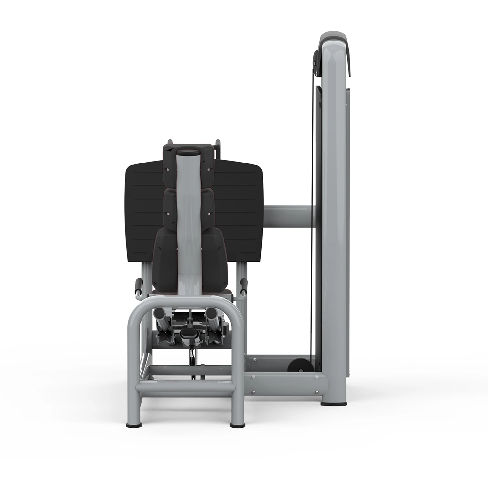 Prensa De Pierna Horizontal 2017-1