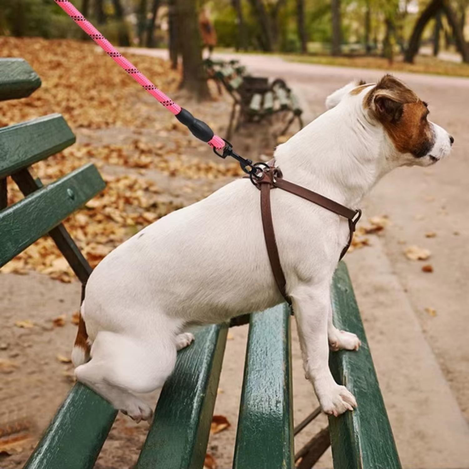 Cuerda Con Asa Resistente Perro Largo 120 Cm Grosor 1.2 Cm-2