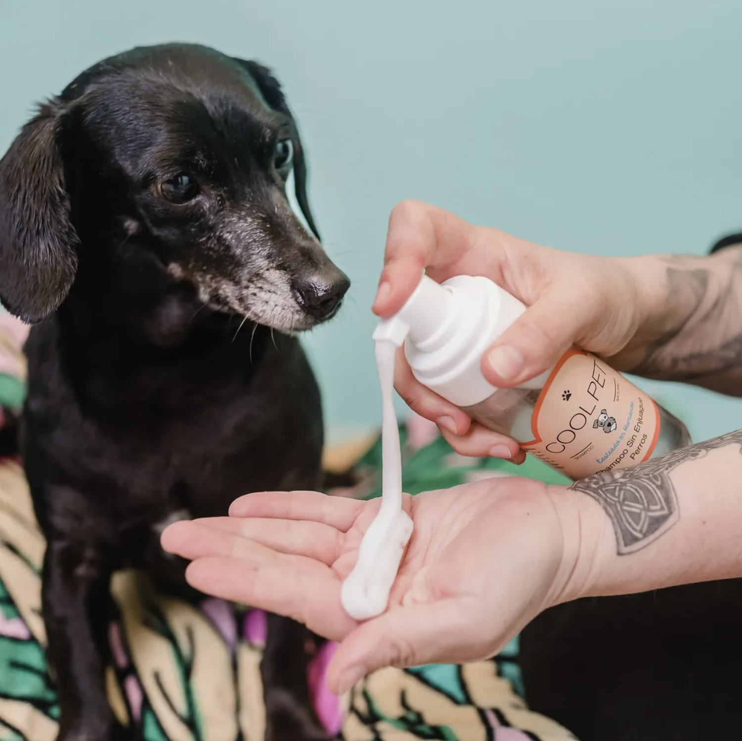 Shampoo Sin Enjuague Coolpet Para Perros Higiene Sin Agua-3