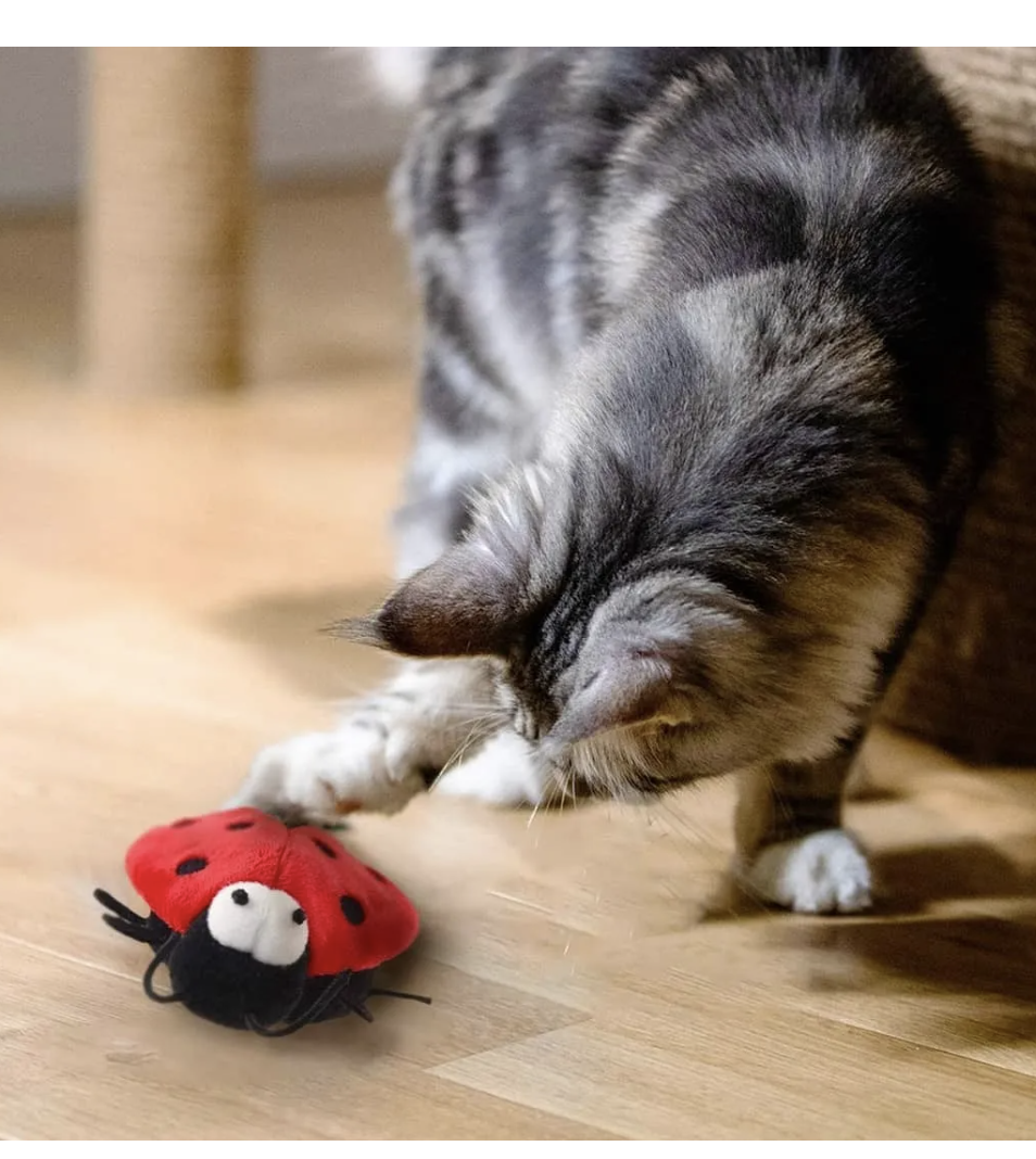 Juguete Interactivo Para Mascotas Gatos Melody Chaser Gigwi - Mariquita-2