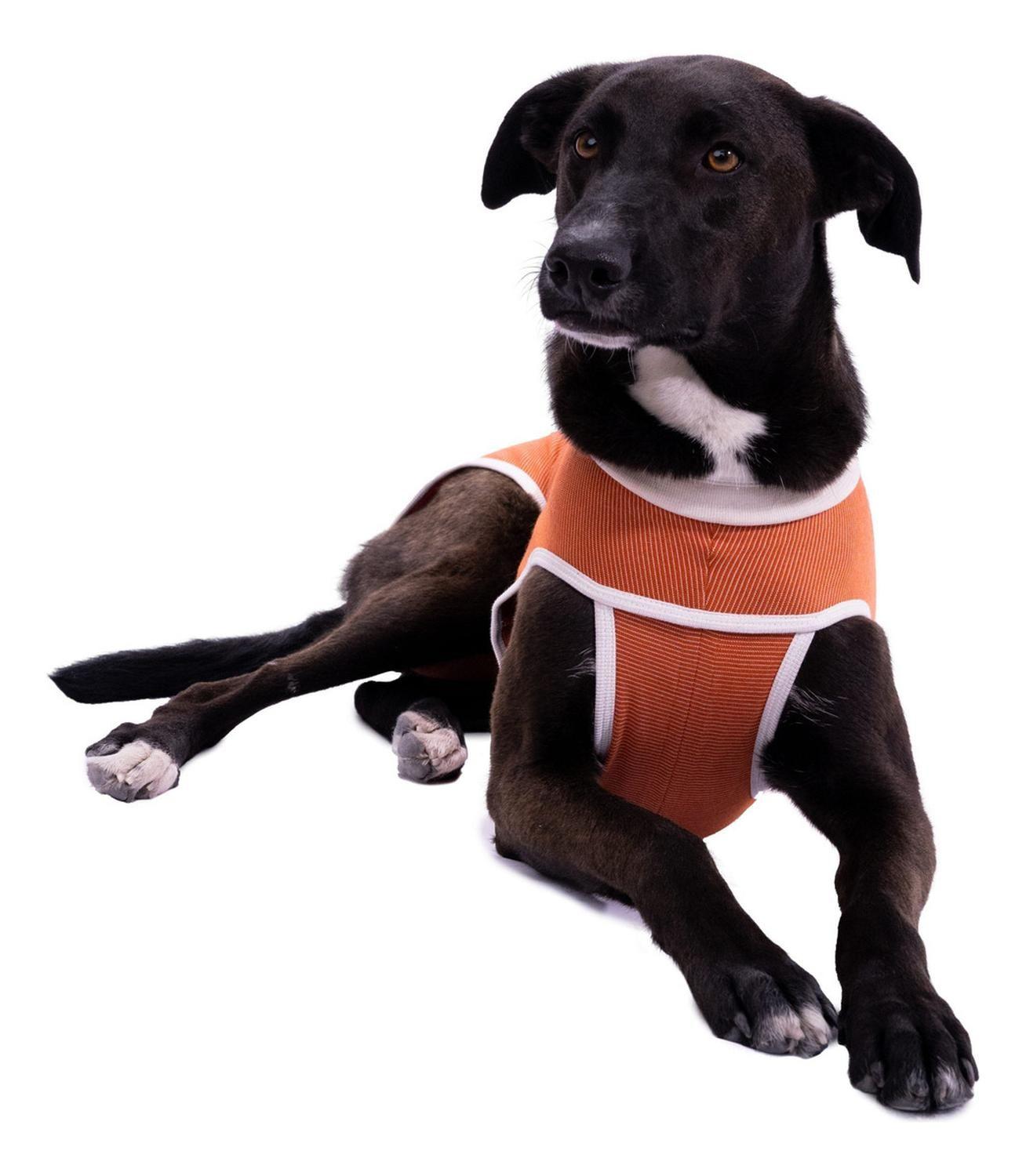 Body Tradicional De Cobre Post Quirúrgico Operatorio Talla 6 10 A 13kg Máximo-4