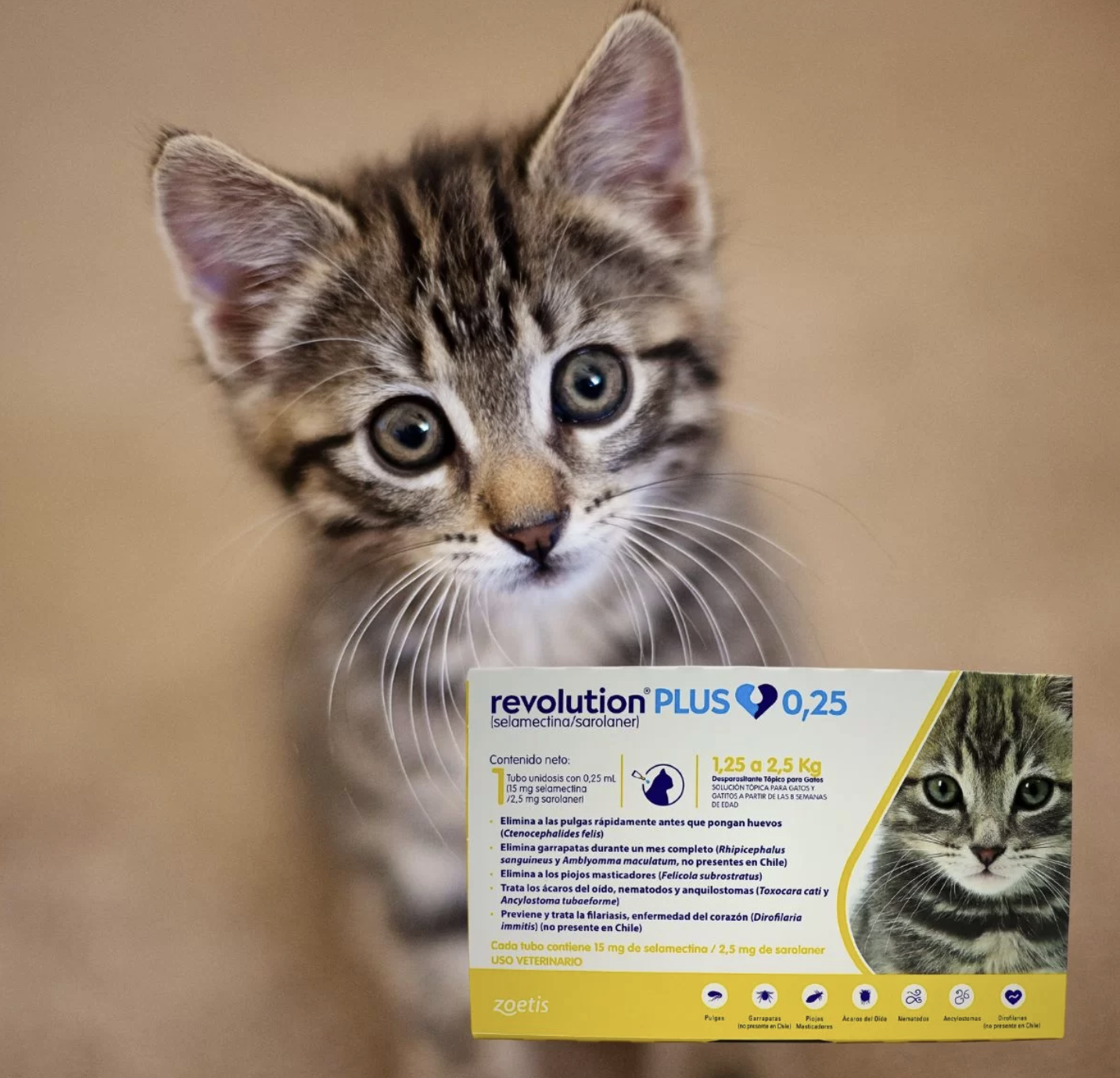 Revolution Plus Pipeta Externa Para Gatos De 1.25 A 2.5 Kg-2