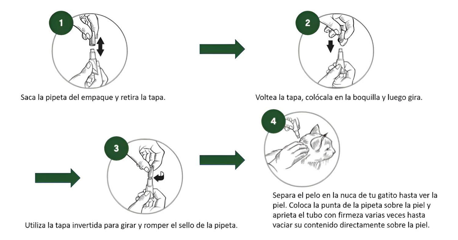 Elanco Antiparasitario Pipeta Advantage Para Gatos Menor 4kg-1