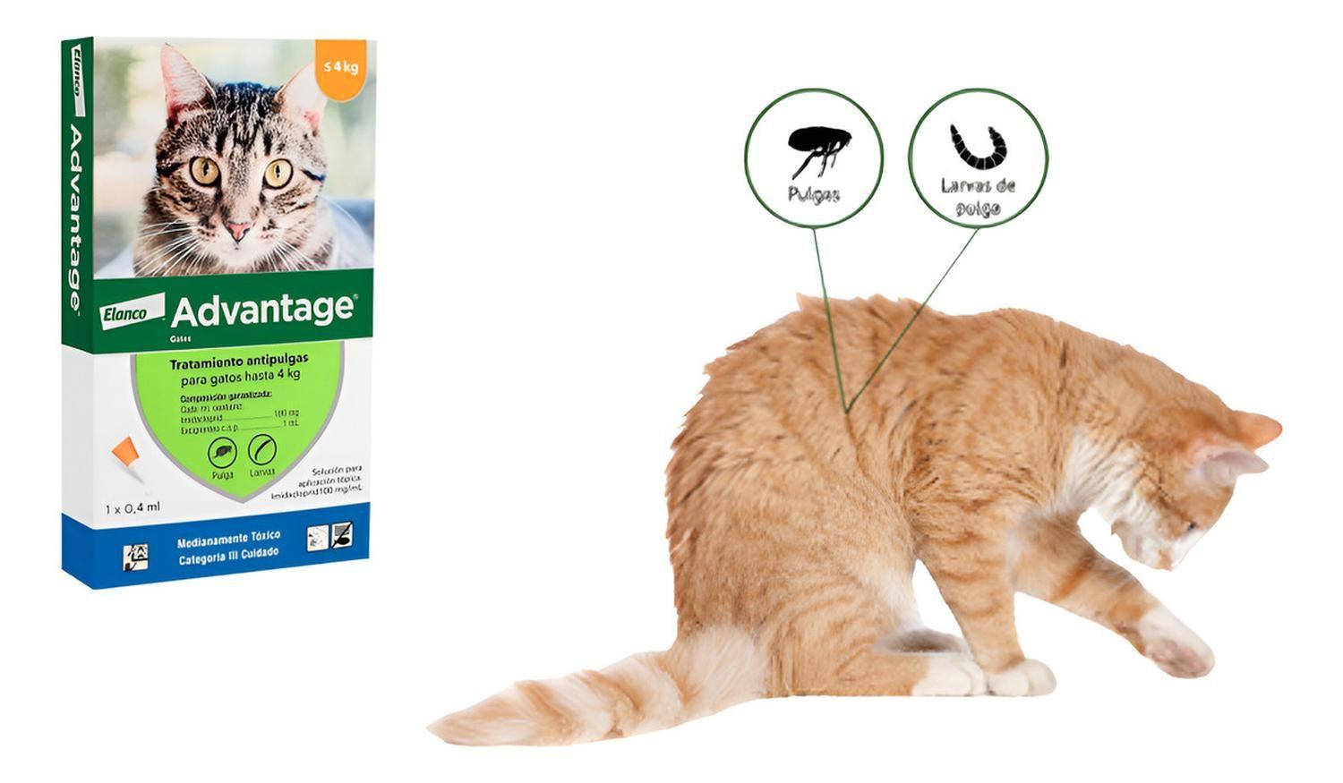 Elanco Antiparasitario Pipeta Advantage Para Gatos Menor 4kg-2