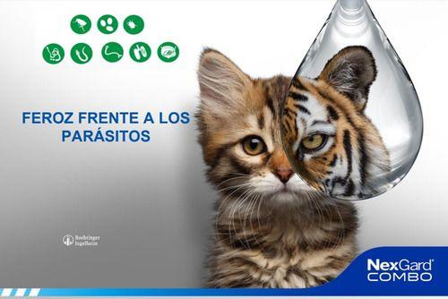 Nexgard Combo Pipeta Antiparasitario Para Gato 2.5 A 7.5kg-2