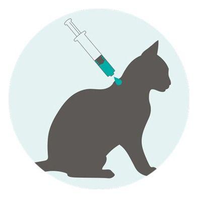 Nexgard Combo Pipeta Antiparasitario Para Gato 2.5 A 7.5kg-3