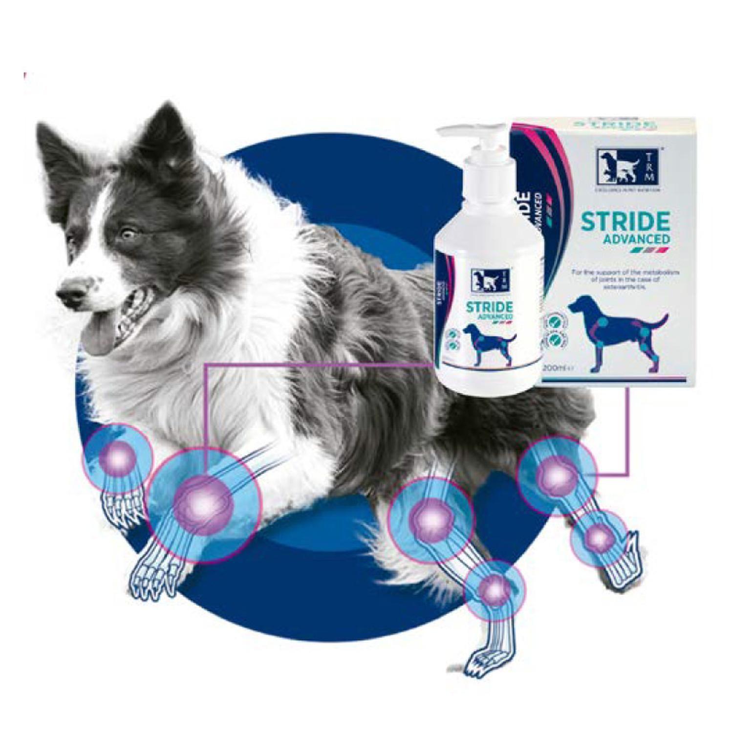 Stride Advanced Suplemento Para Perro 200ML-2