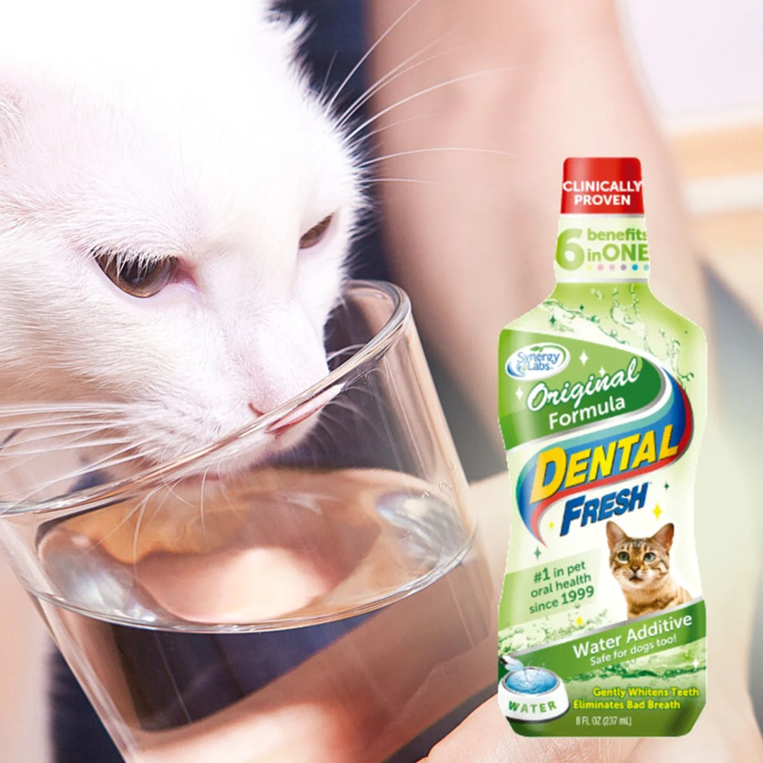 Dental Fresh Para Mascotas Gato Aditivo Para Agua 237ml-3