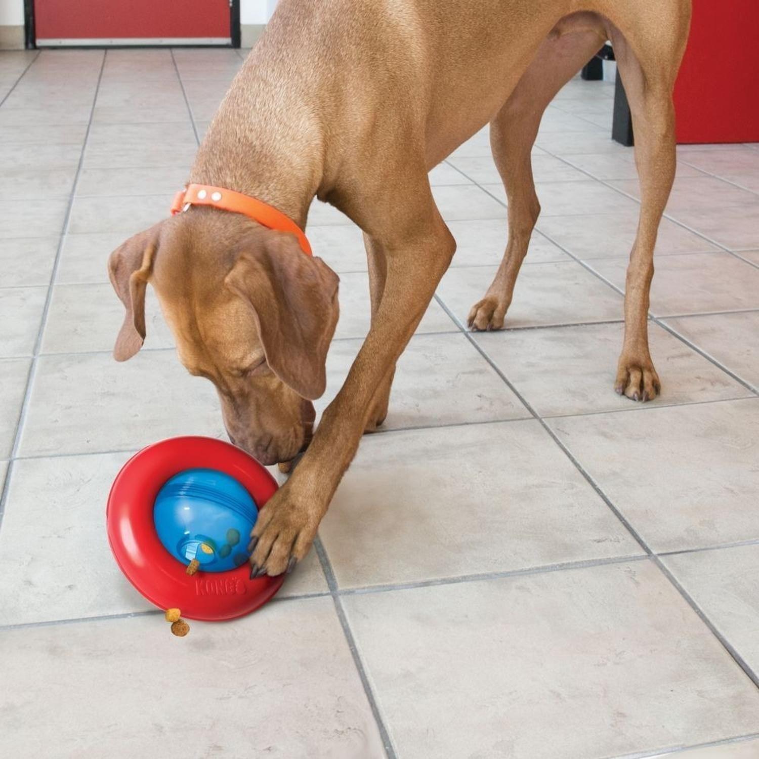 Kong Gyro Dispensador De Alimento Para Perro Talla L 16+ Kg - ROJO/AZUL-2