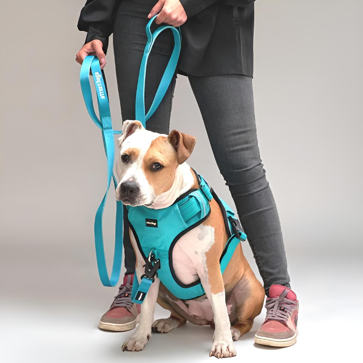 Correa De Paseo Tactic Para Perros Street Dogs 5m-4