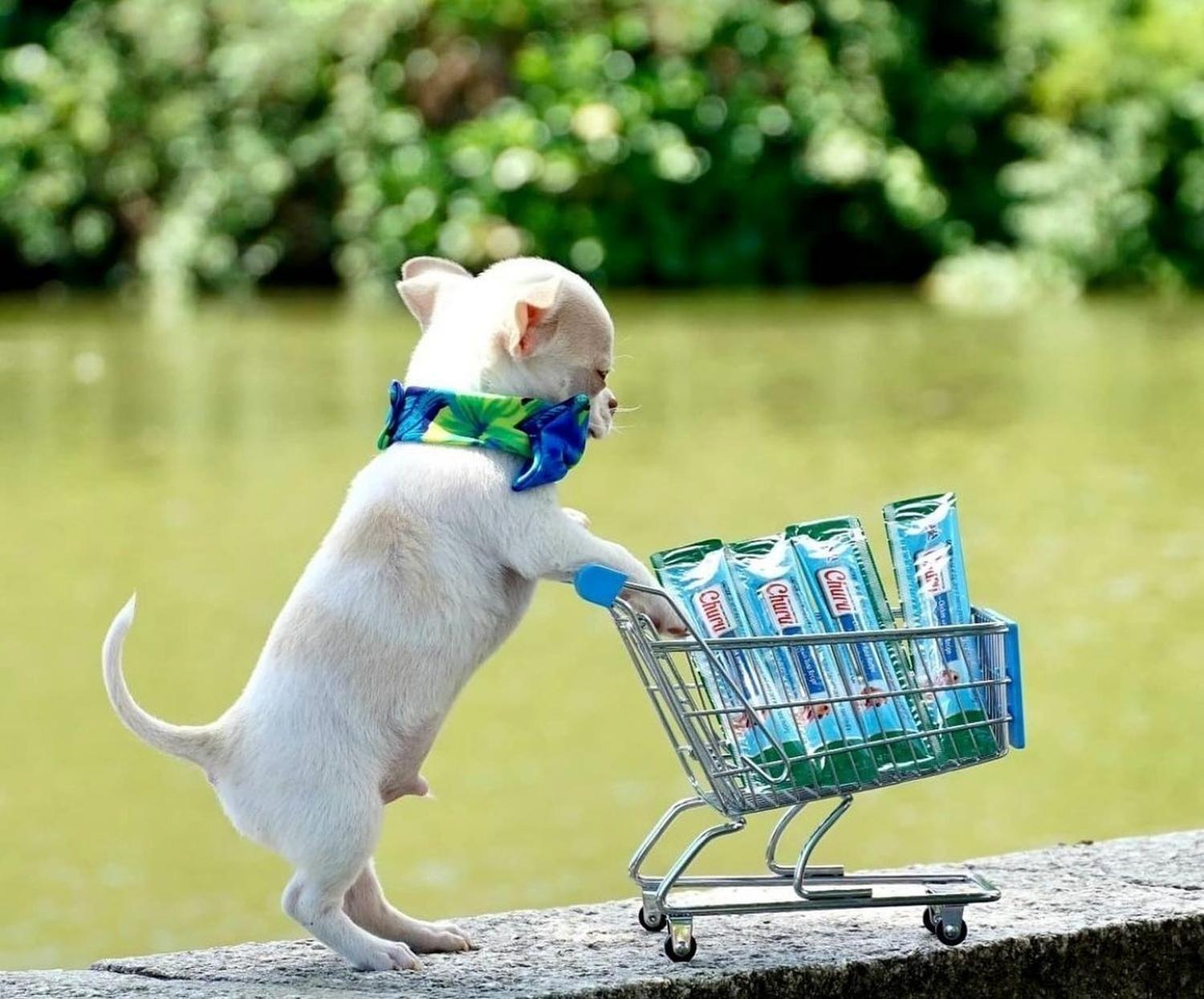 Snack Para Mascotas Churu Perros Premios 14g X 4 Tubos (56g)-2