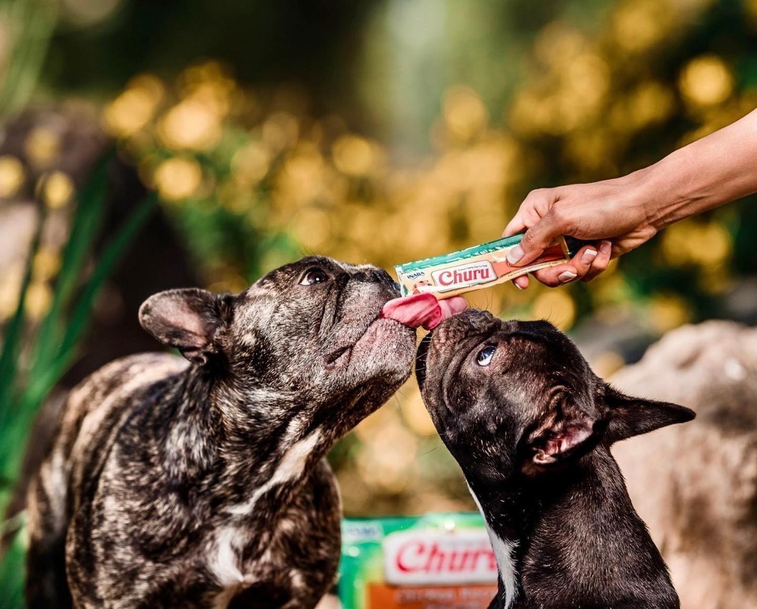 Snack Para Mascotas Churu Perros Premios 14g X 4 Tubos (56g)-3