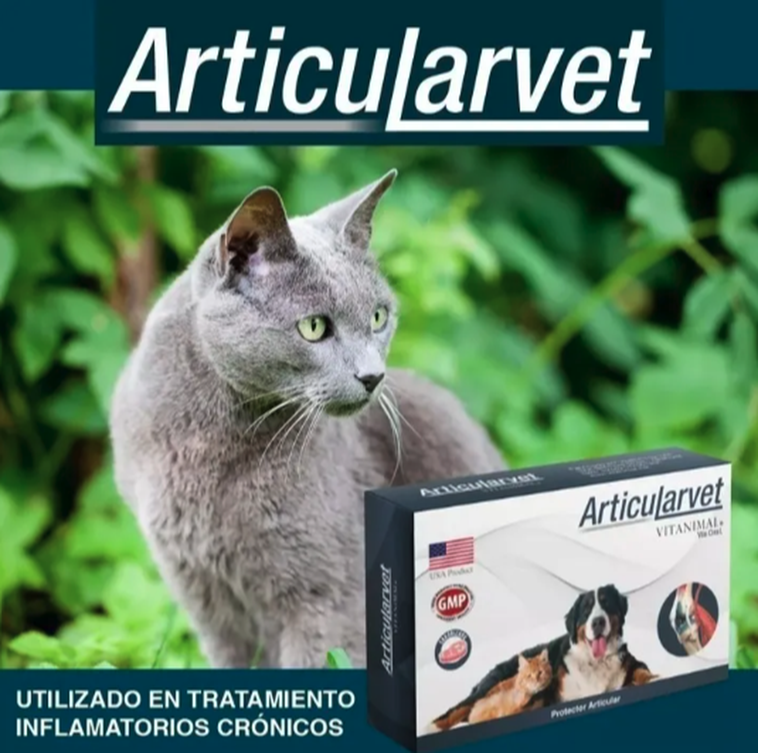 Articularvet Vitanimal Suplemento Perro Gato 30 Comprimidos-2