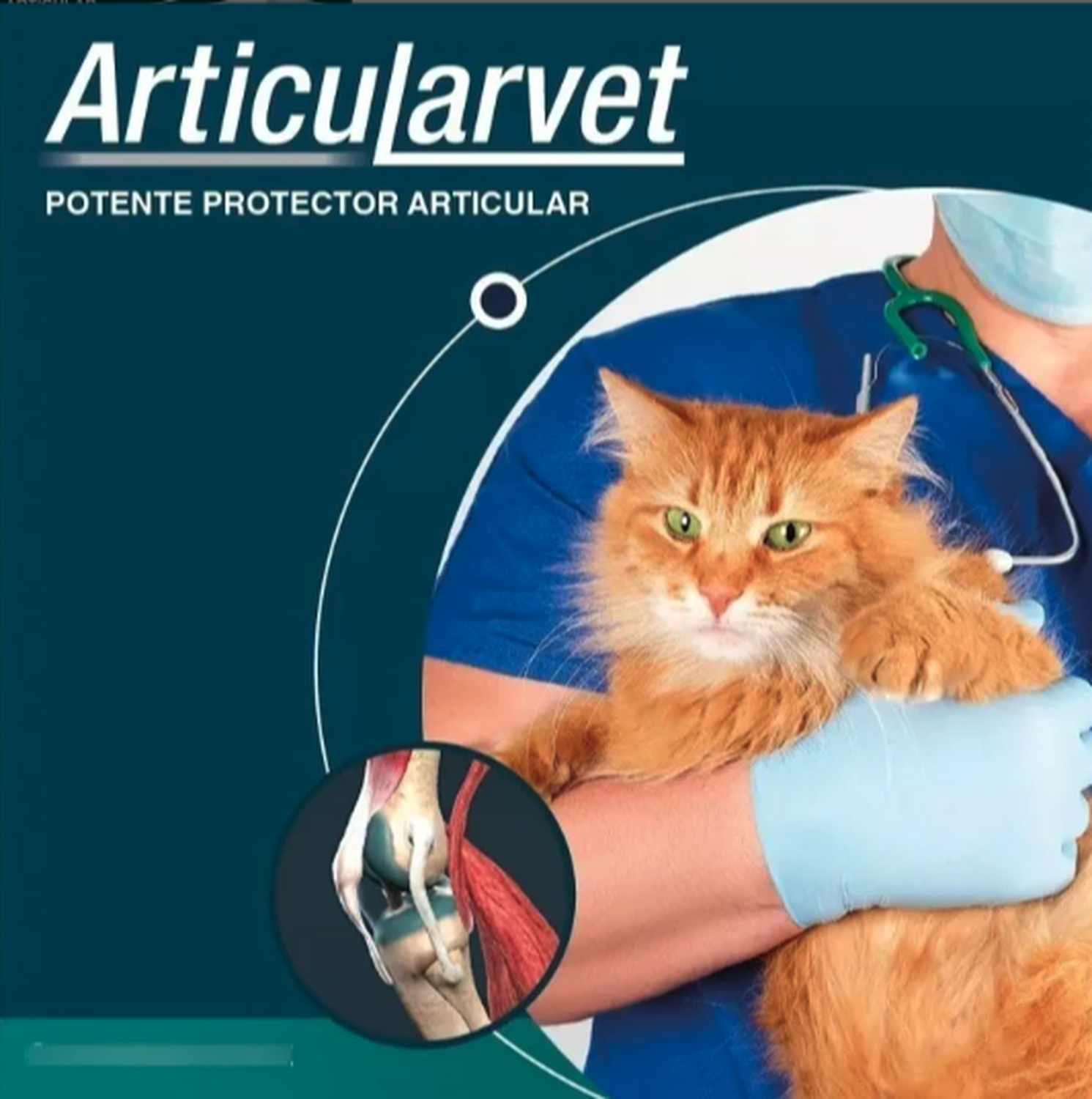 Articularvet Vitanimal Suplemento Perro Gato 30 Comprimidos-3