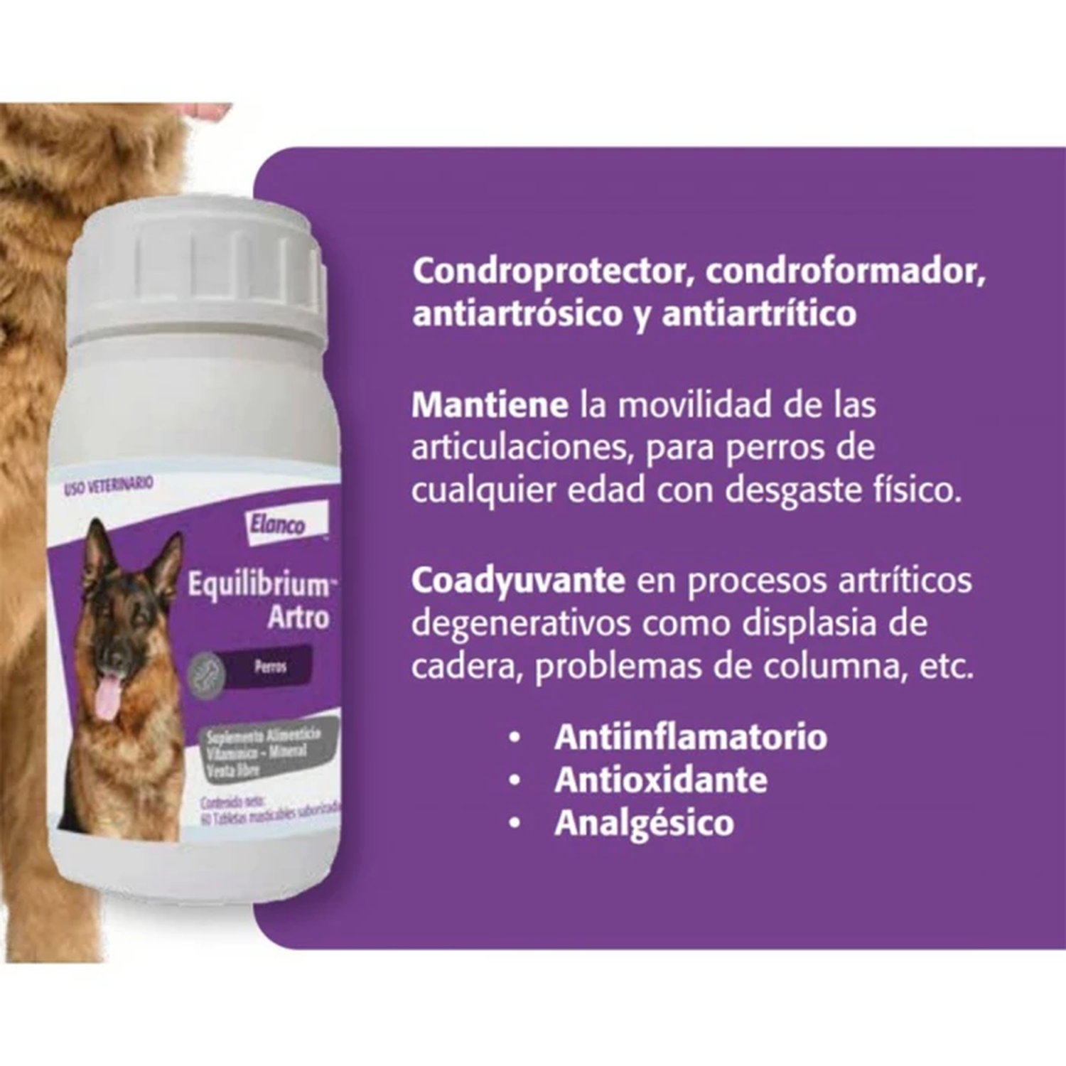 Equilibrium Artro Suplemento Articular Para Perros 60u-2