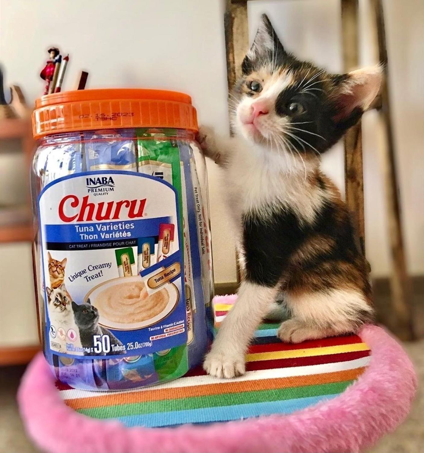 Churu Snack Para Gato Tarro Atún Variedades 50 Tubos-2