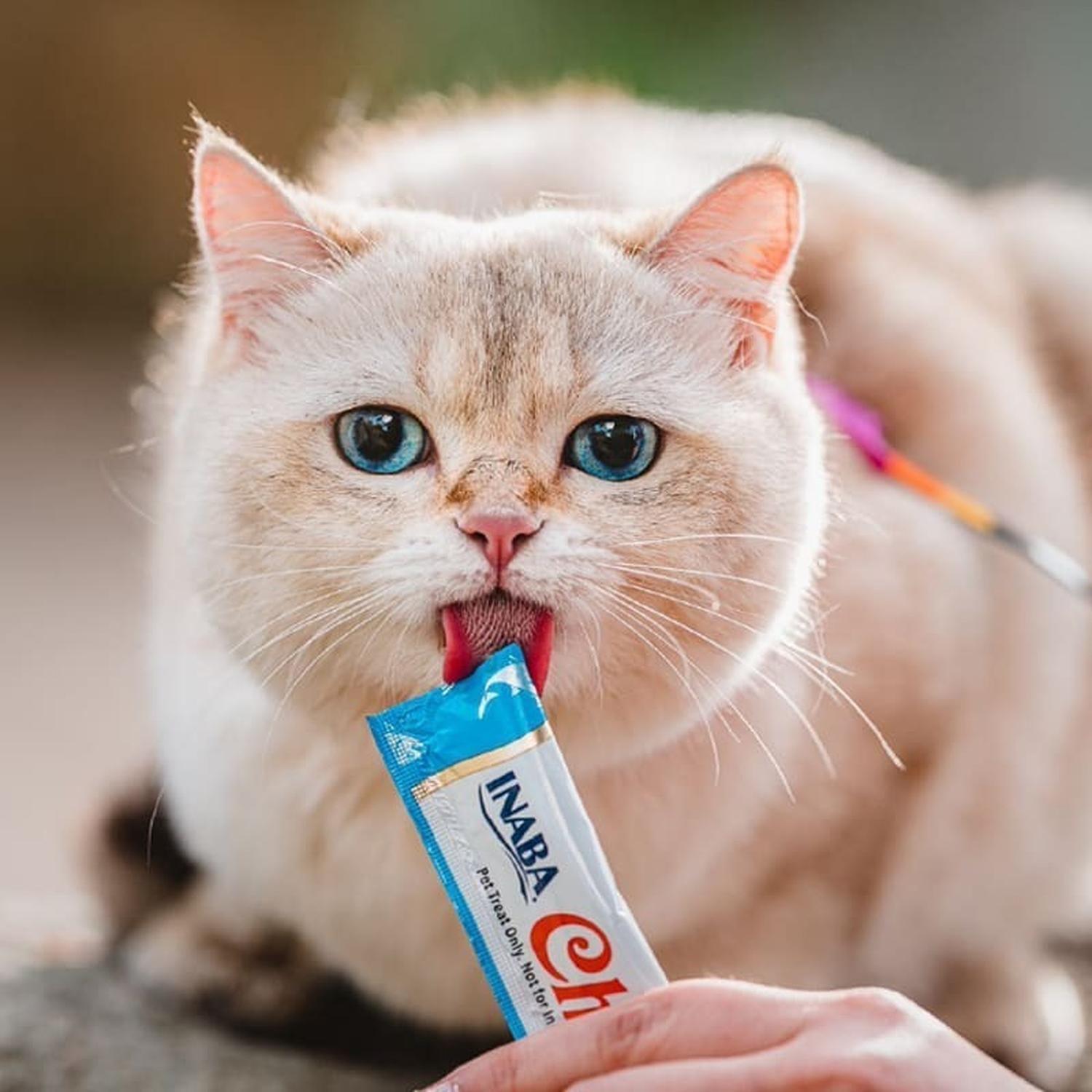 Churu Snack Para Gato Tarro Atún Variedades 50 Tubos-5