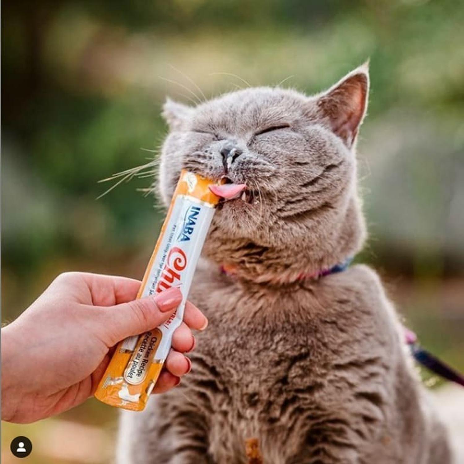 Churu Snack Para Gato Tarro Atún Variedades 50 Tubos-6