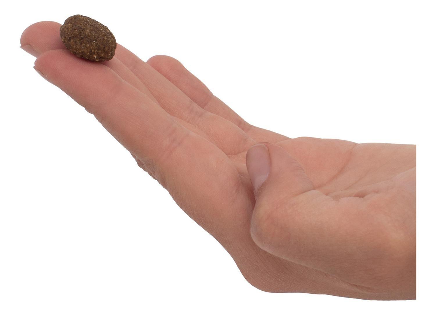 Plaqueoff Snack Bites Cuidado Dental Perros Medianos Grandes-3