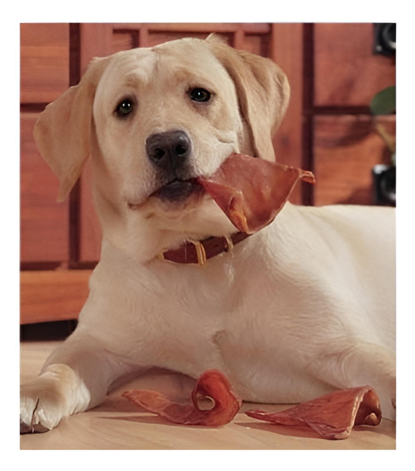 Tasty Farm Orejas De Cerdo Snack Para Perros 4 Unidades-3