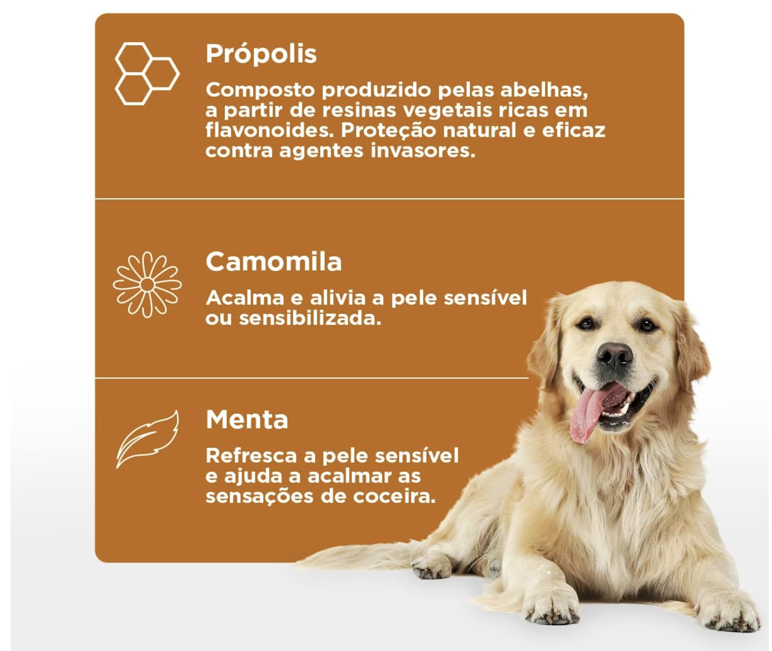 Loción Limpiadora Para Oídos Perro Y Gato Softcare-1