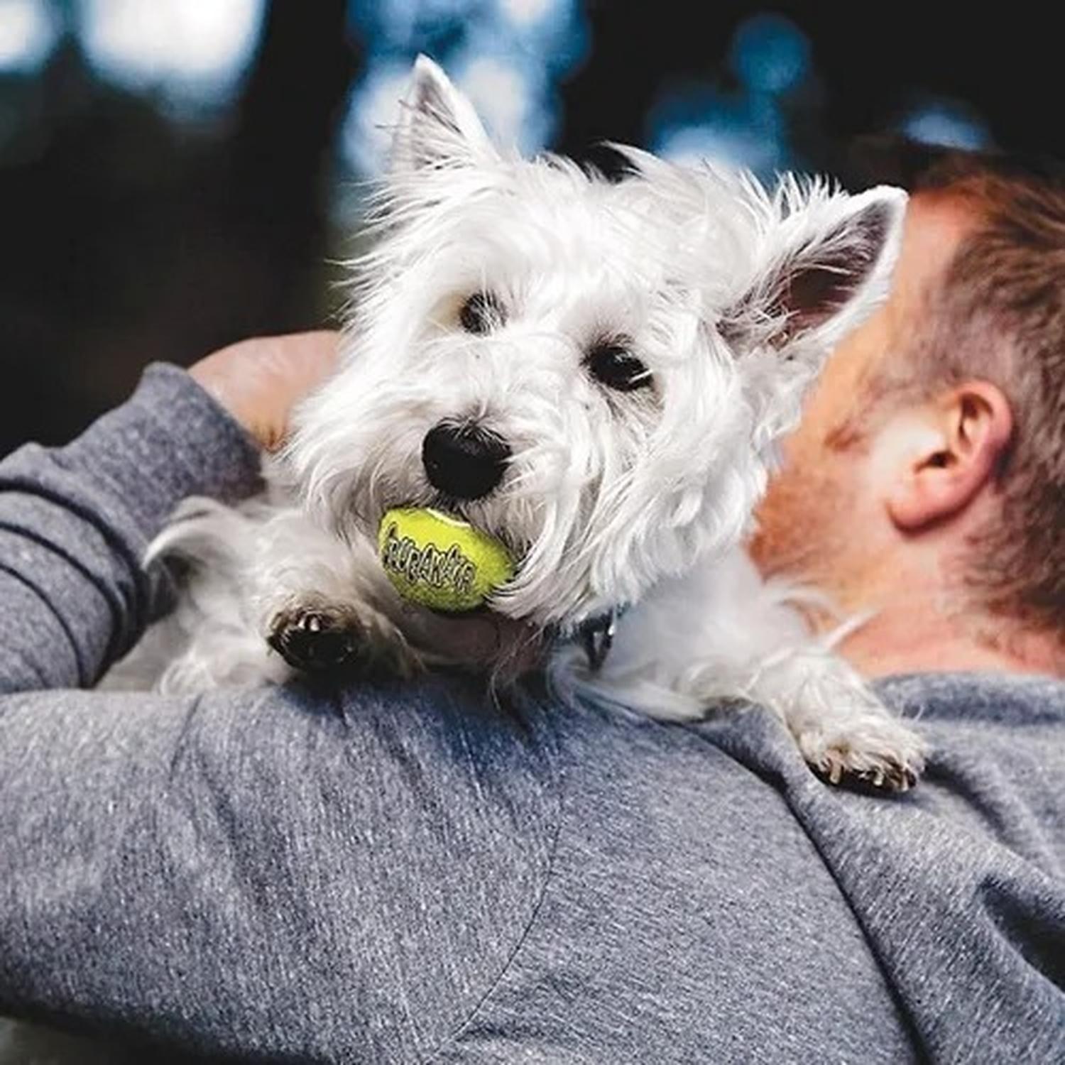 Pelota Para Perro Kong Ball Squeak Air Talla S 3 Unidades-2