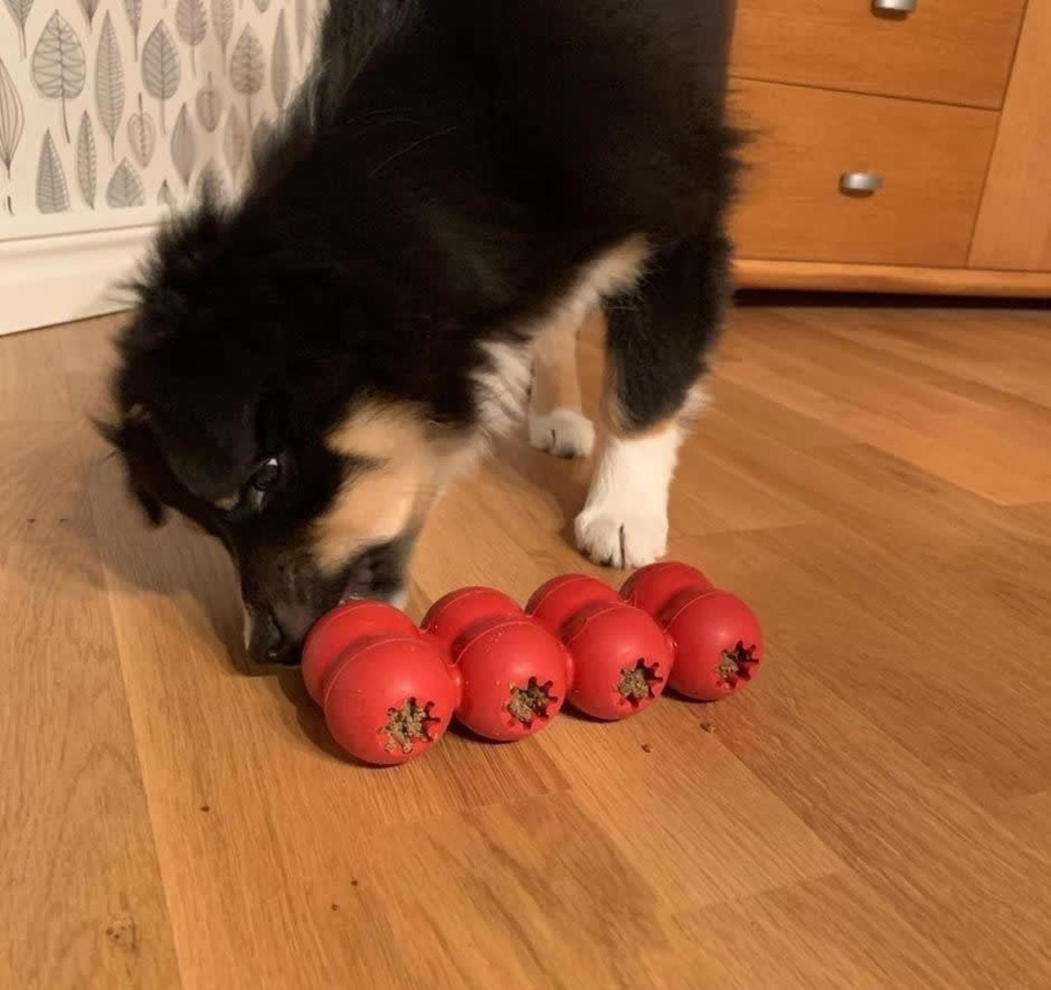 Juguete Rellenable Kong Goodie Ribbon Talla S Hasta 9 Kg-3