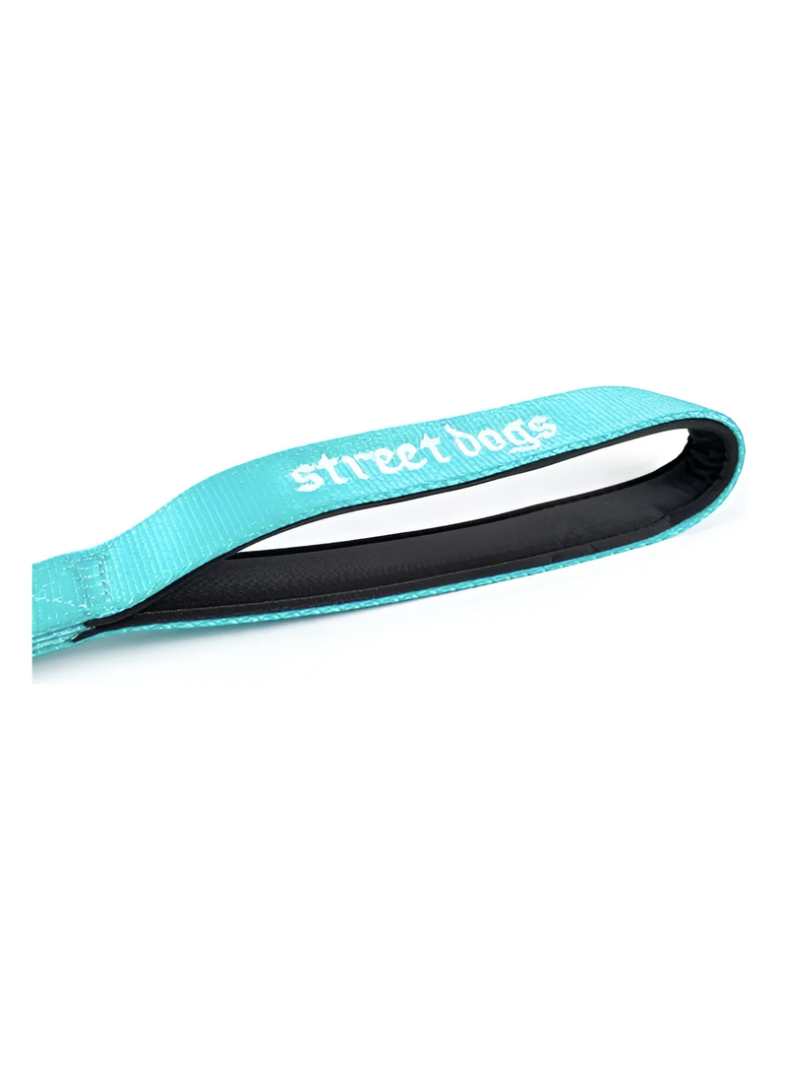 Correa De Paseo Tactic Para Perros Street Dogs 5m - TURQUESA-3