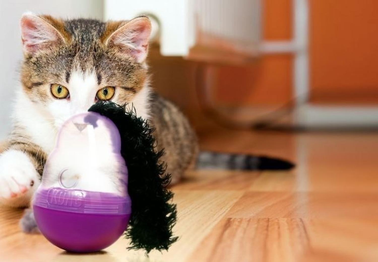 Juguete Interactivo Dispensador Para Gato Kong Cat Wobbler - MORADO-2