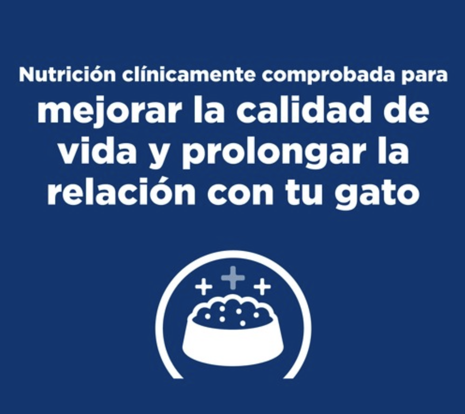 X3 Hill's Prescription Diet Kidney Care Gato Adulto 156 g c/u-3