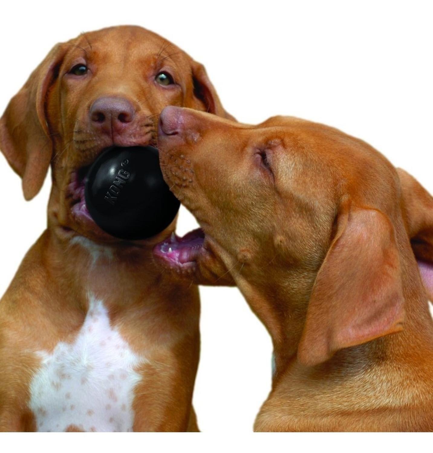 Pelota Para Perro Kong Ball Extreme Talla M / L 13-30 Kg - NEGRO-2