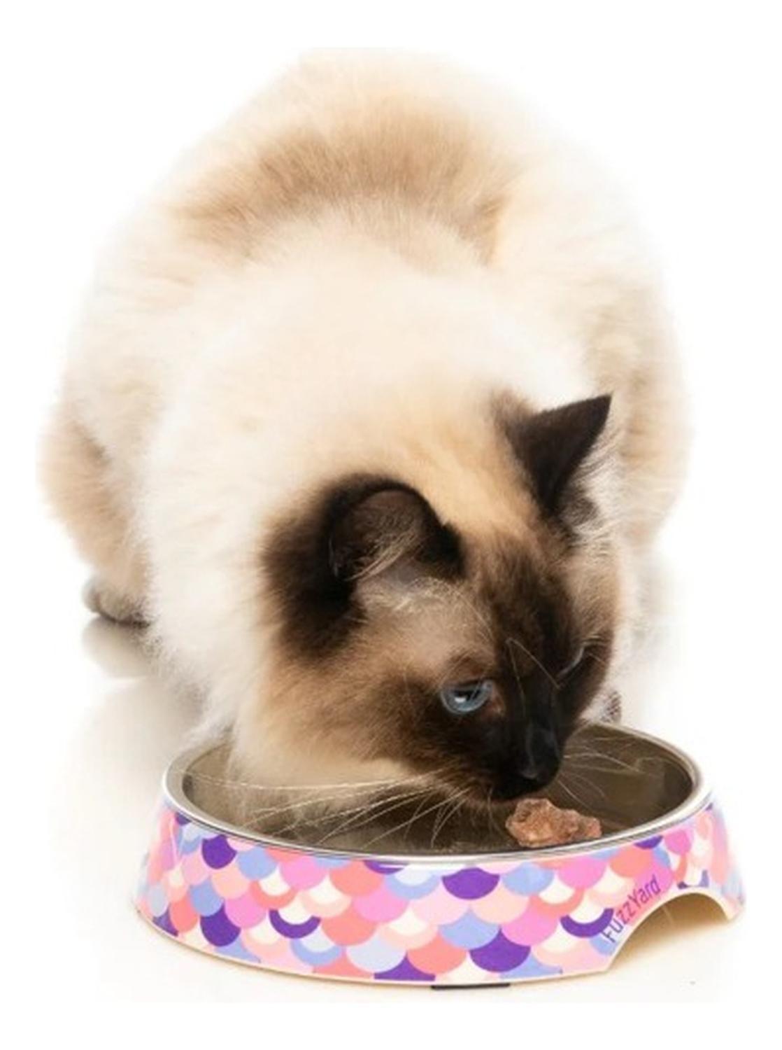 Plato Bowl Para Gato Cat Dish Fuzzyard Capacidad 420ml Multicolor-2
