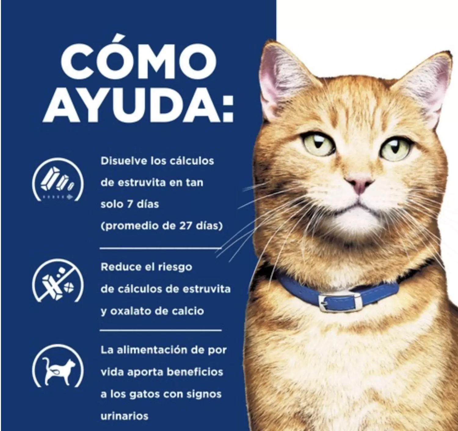 X6 Alimento Hill's Prescription Diet Urinary Care c/d Gato 156g-3