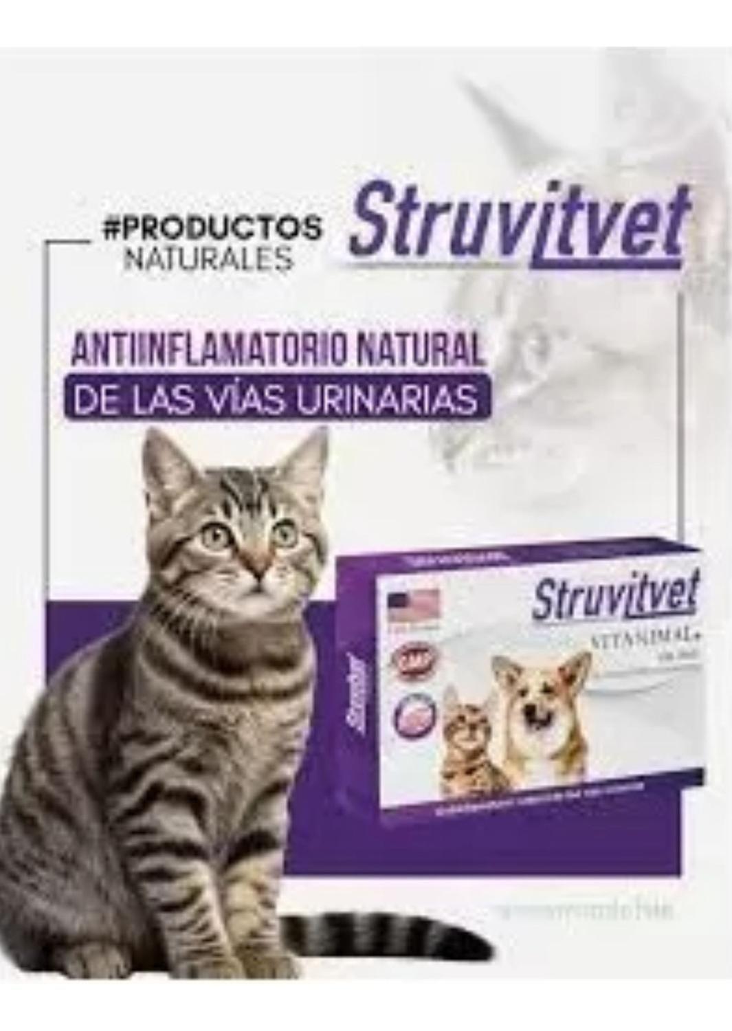 Struvitvet 30 Comprimidos Suplemento Para Perros Y Gatos-4