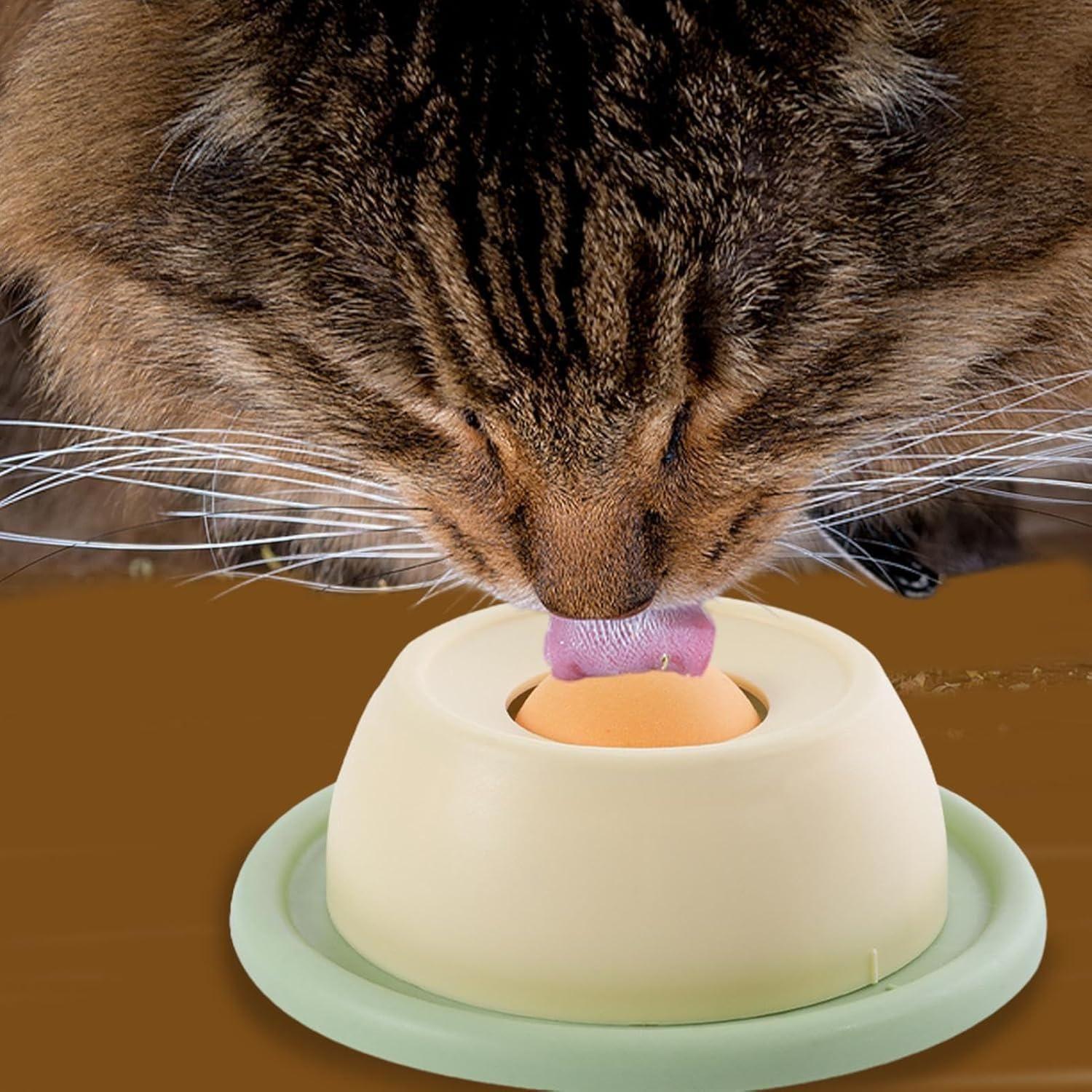 Esfera Juguete Para Lamer Para Perro Y Gato-4