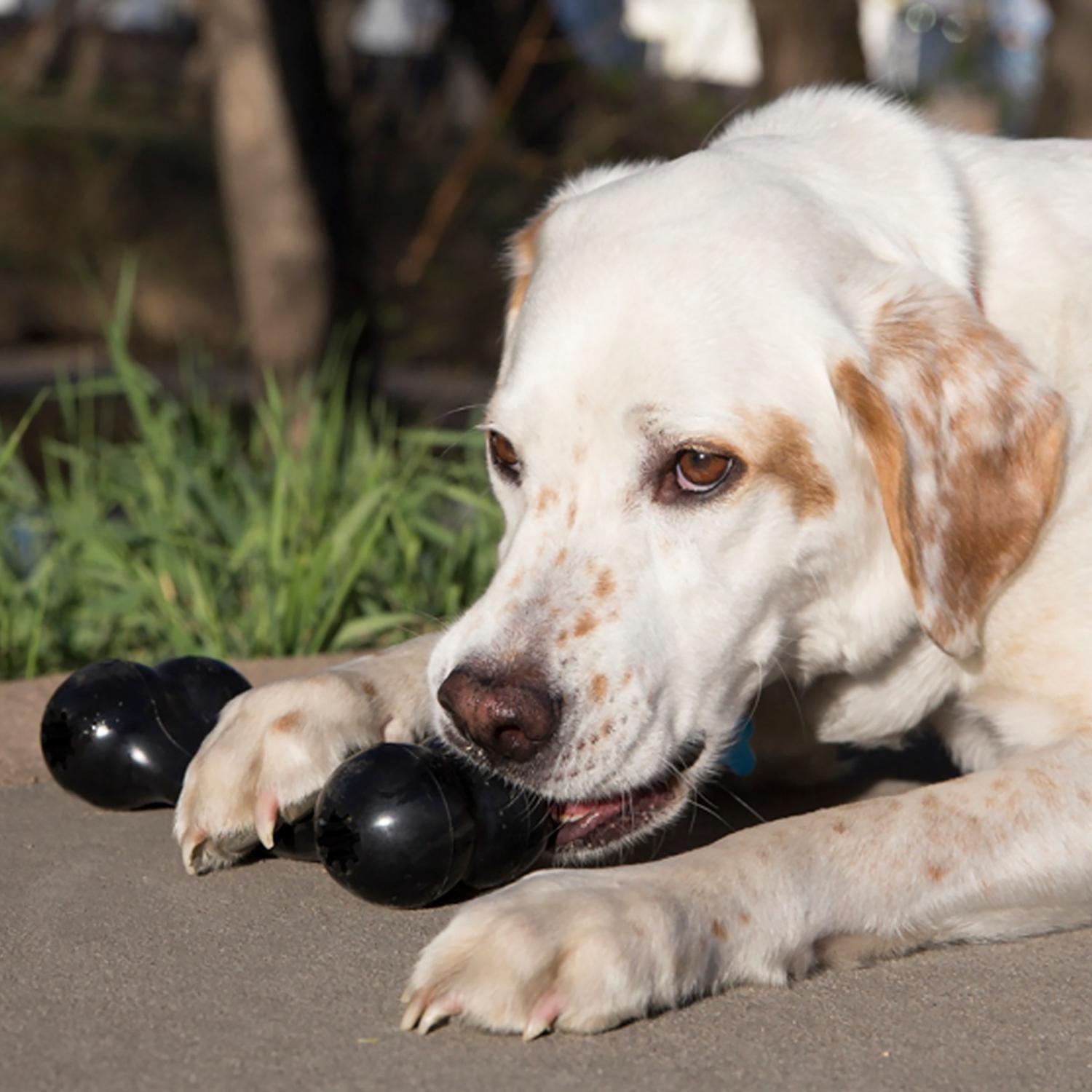 Kong Extreme Goodie Bone Hueso Rellenable Para Perro Talla L -3