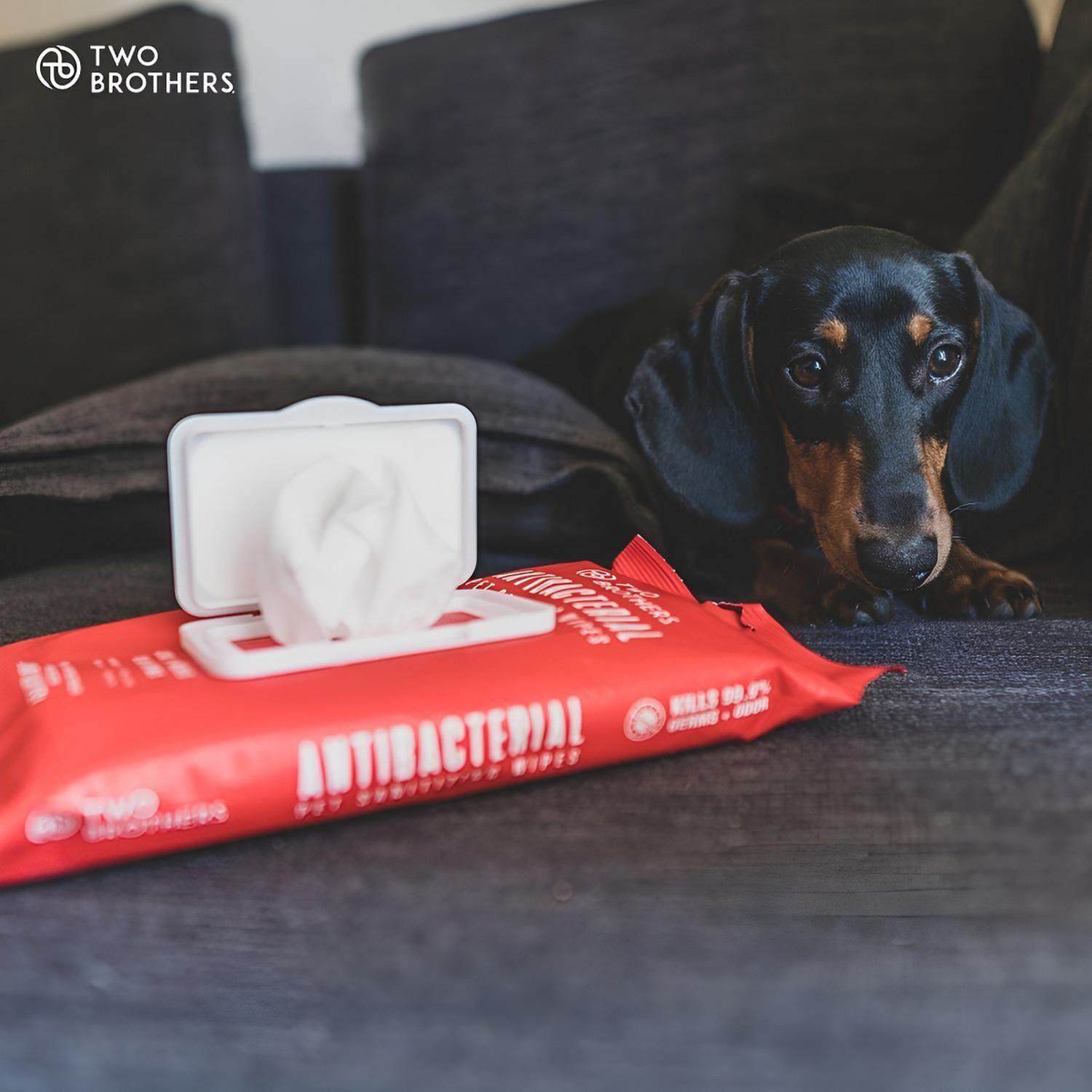 Toallas Toallitas Húmedas Wipes Mascotas Perros Gatos 40 Ud-2