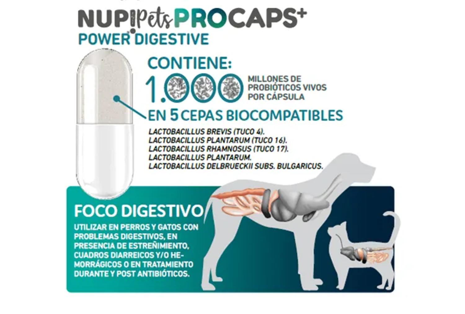 X3 Sachet Nup Pets Pro Caps Power Digestive Perro Gato-2