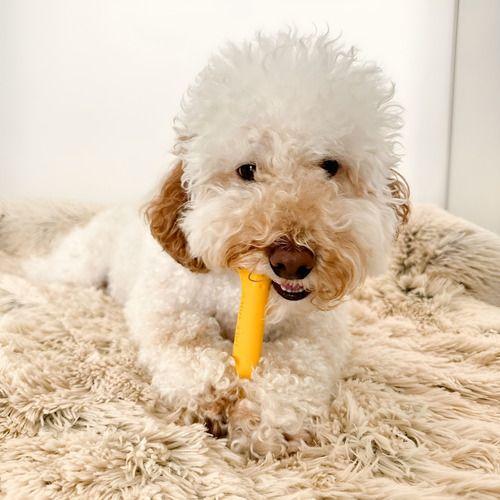 Tall Tails Hueso De Goma Natural Goat Juguete Para Perro S-7