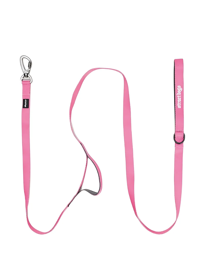 Correa De Paseo Y Adiestramiento Para Perros Street Dogs 5m - ROSA-2