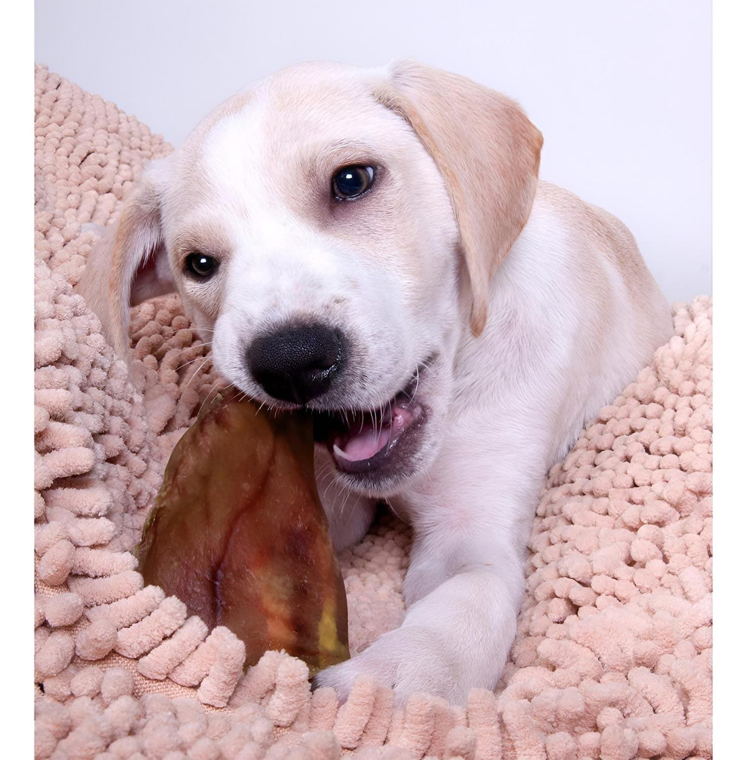 Tasty Farm Orejas De Cerdo Snack Para Perros 8 Unidades-2