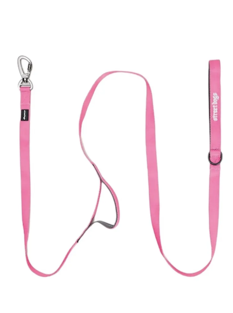 Correa De Paseo Adiestramiento Para Perros Street Dogs 1.8m - ROSA-1