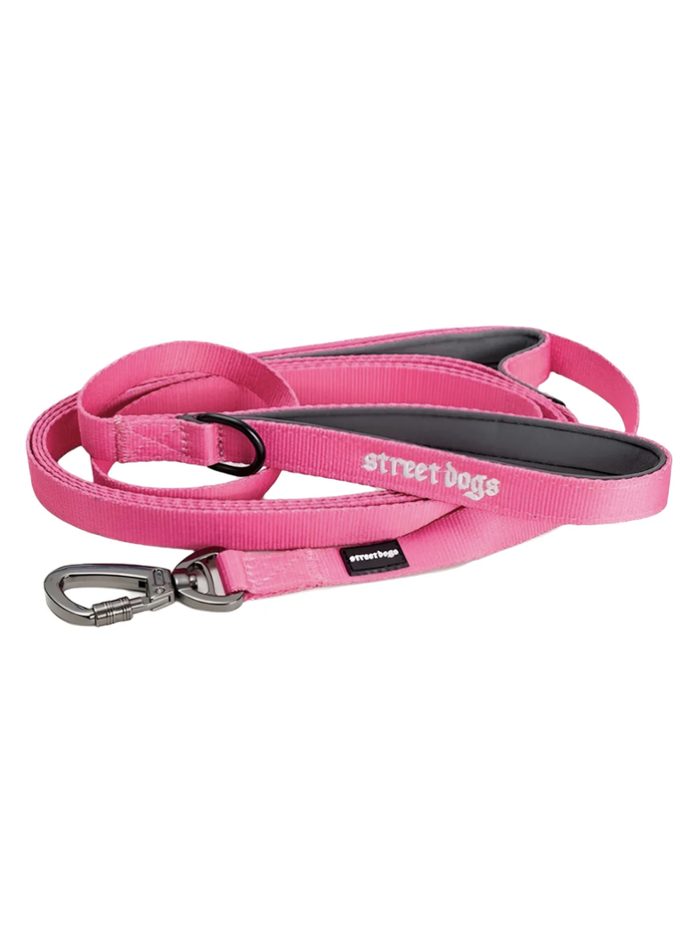 Correa De Paseo Adiestramiento Para Perros Street Dogs 1.8m - ROSA-0